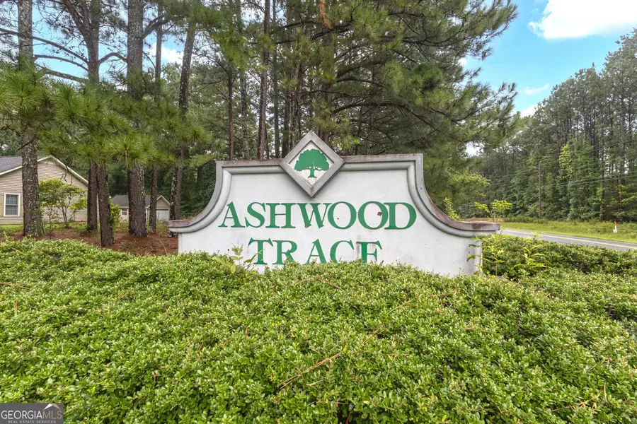112 Ashwood Trace, Hampton, GA 30228 - #3