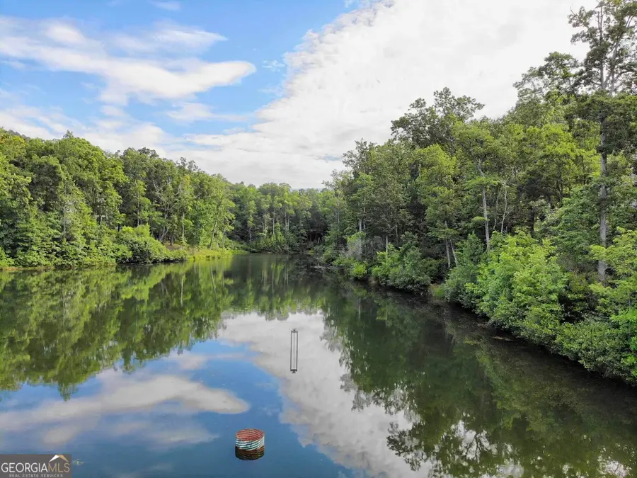 469 Pippin Circle, Clarkesville, GA 30523 - #2