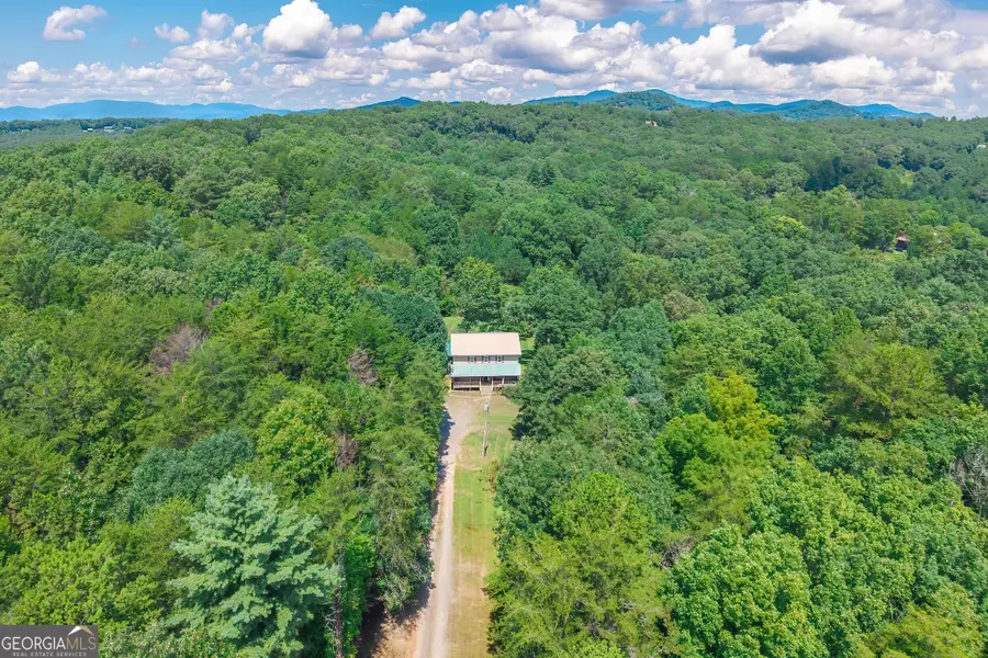 495 Dockery Lane, Mineral Bluff, GA 30559 - #2