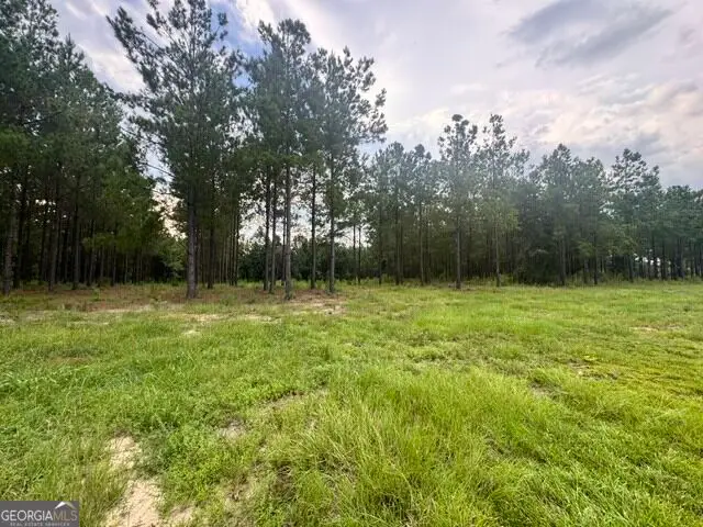 0 Dewey Thomas Road, Dexter, GA 31019 - #2