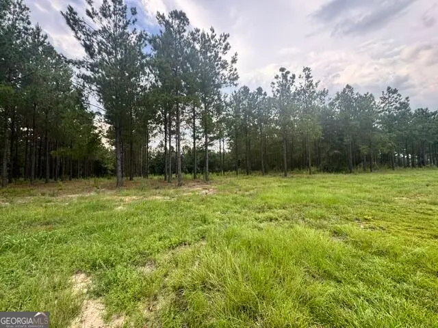 0 Dewey Thomas Road, Dexter, GA 31019 - #3