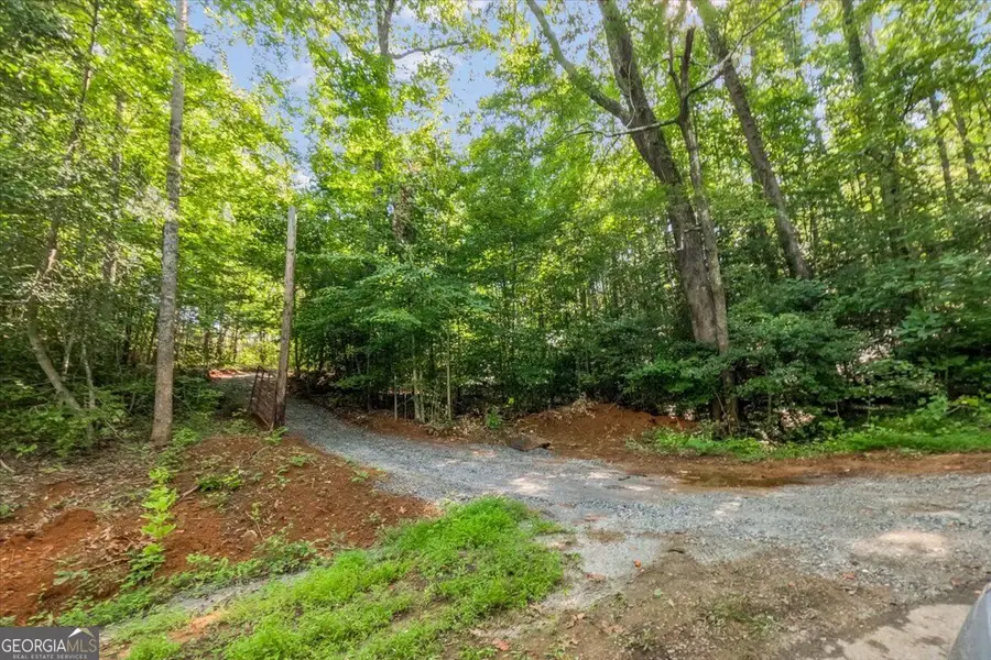 LOT 1 & 2 The Bear Boulevard, Tamassee, SC 29696 - #3