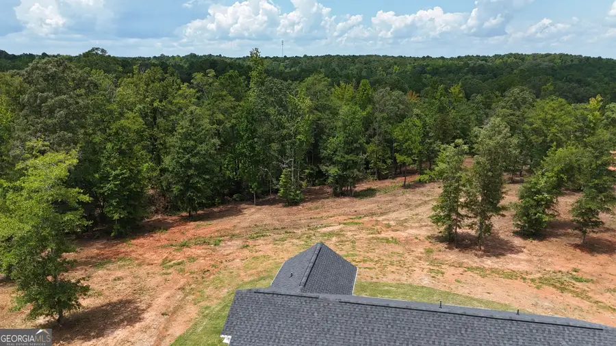 331 Andrews Mill Road, Greenville, GA 30222 - #3