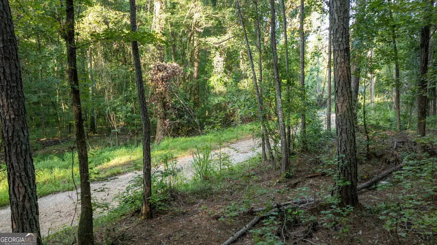 0 Allgood Road #12.59+/- ACRES, Newnan, GA 30263 - #2