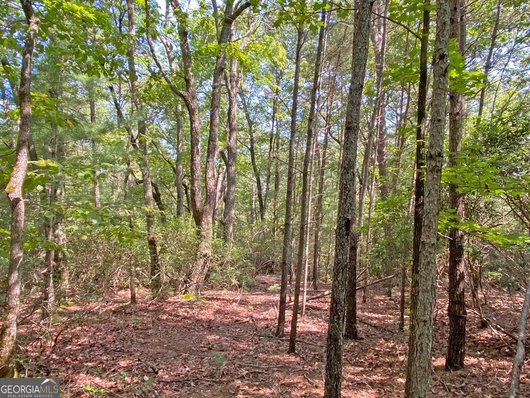 10.59AC T S Jarrard Road, Dahlonega, GA 30533 - #1