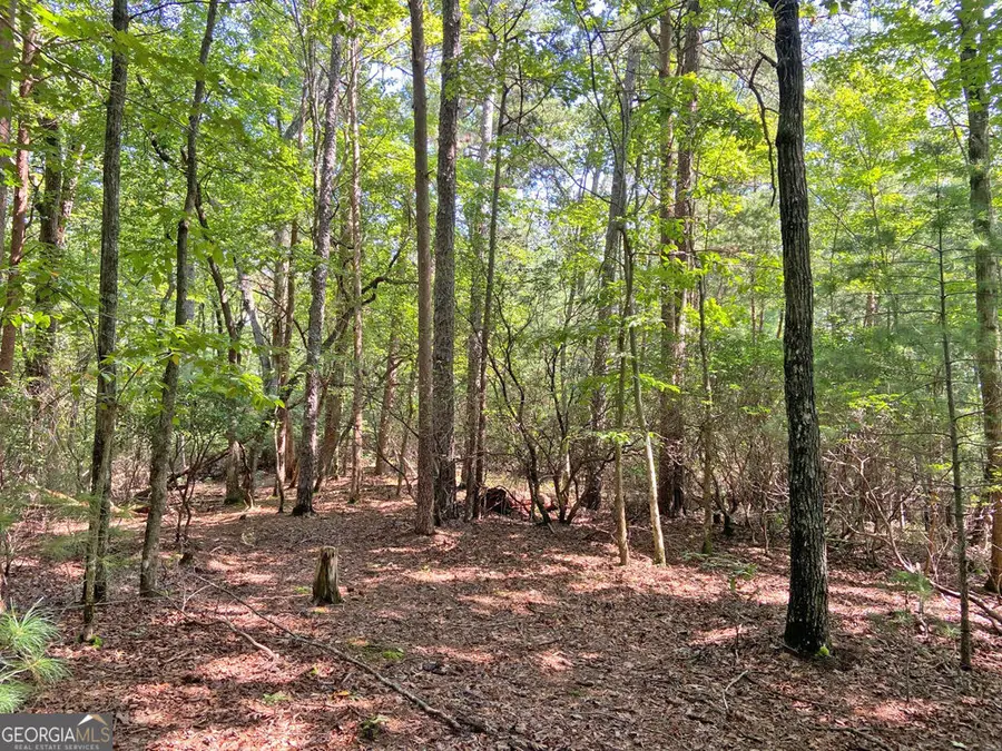 10.59AC T S Jarrard Road, Dahlonega, GA 30533 - #2