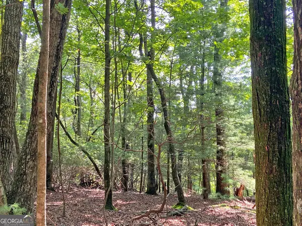 11AC T S Jarrard Road, Dahlonega, GA 30533