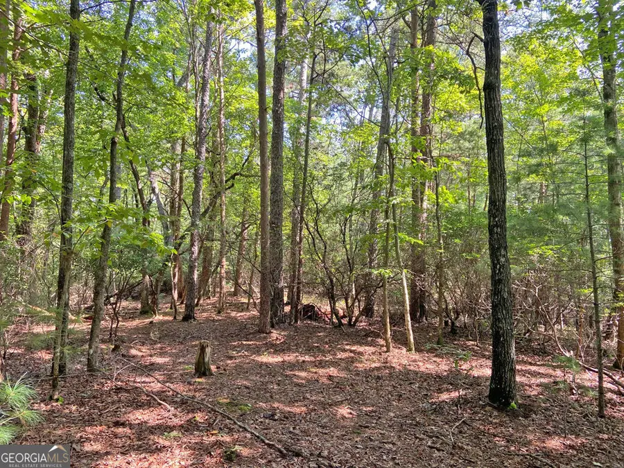 11AC T S Jarrard Road, Dahlonega, GA 30533 - #3