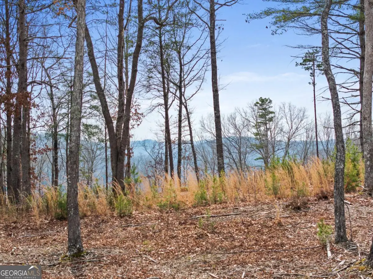 LOT 162 Ridge Drive, Morganton, GA 30560 - #1