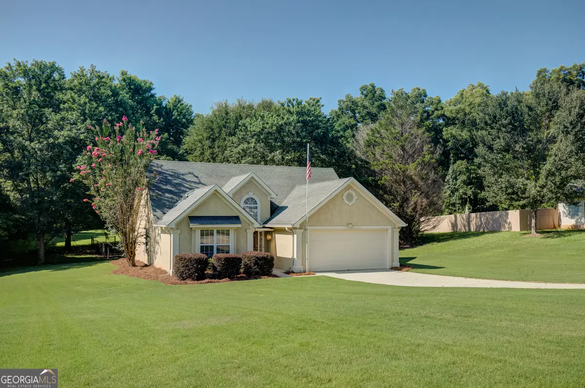 25 Mcintosh Estates Drive, Sharpsburg, GA 30277 - #1