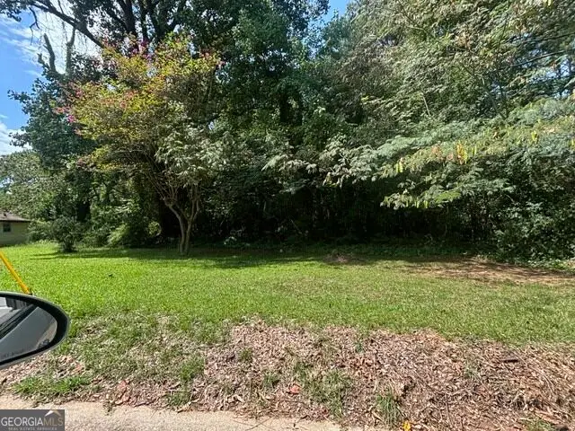0 Tye Street, Stockbridge, GA 30281 - #2
