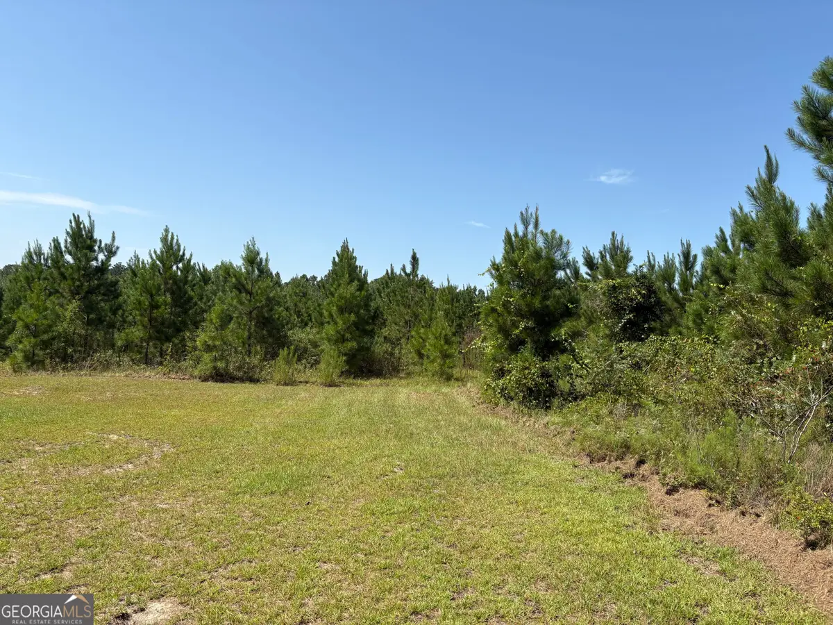 0 Dixon Road, Dublin, GA 31021 - #1