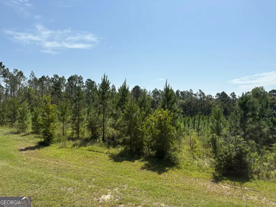 0 Dixon Road, Dublin, GA 31021 - #2