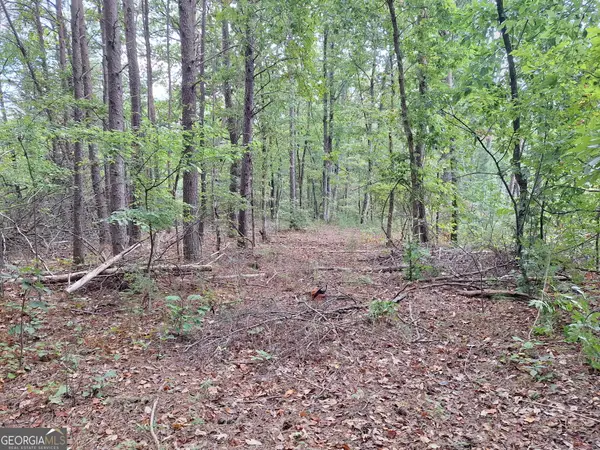0 Highland Tree Court, Ranger, GA 30734