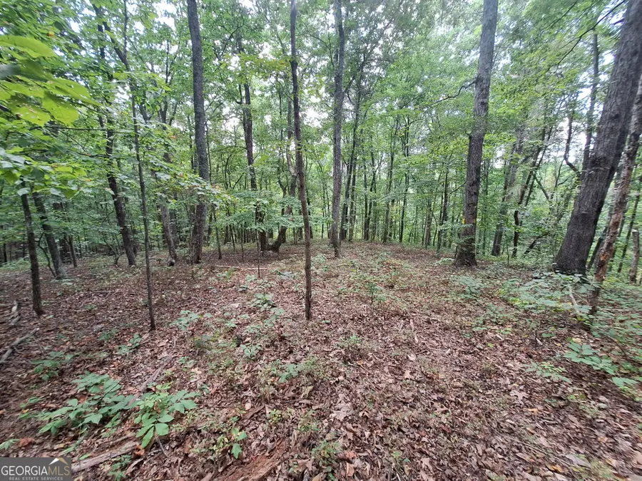 0 Highland Tree Court, Ranger, GA 30734 - #2