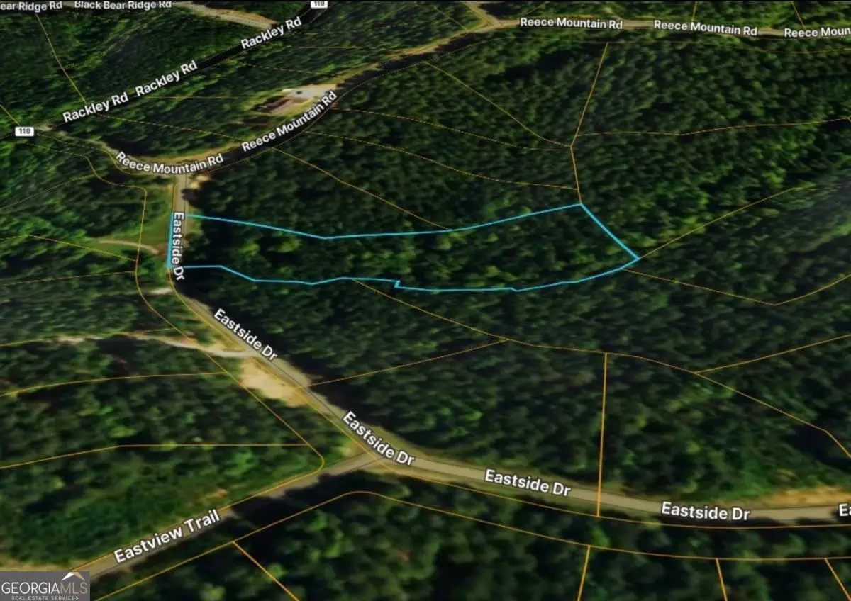 LOT 37 Eastside Drive, Ellijay, GA 30536 - #1