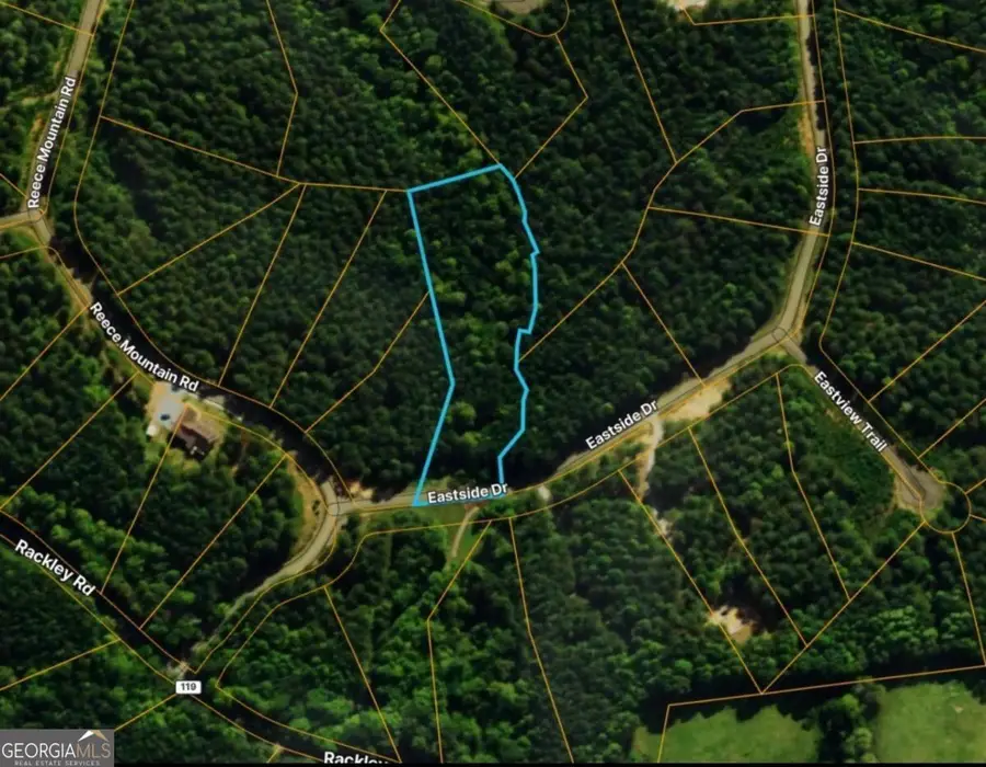 LOT 37 Eastside Drive, Ellijay, GA 30536 - #3