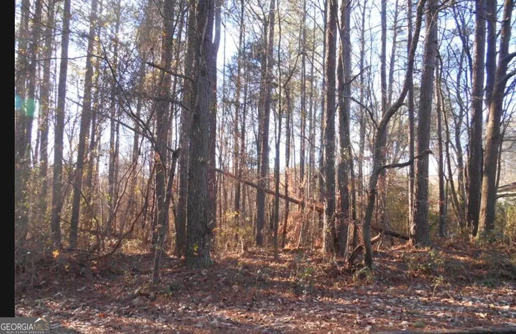 0 Bartlett Circle, Bowdon, GA 30108 - #1