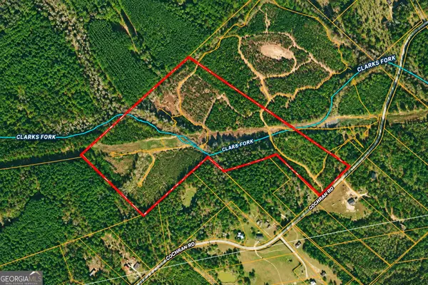 47 ACRES Cochran Road, Madison, GA 30650