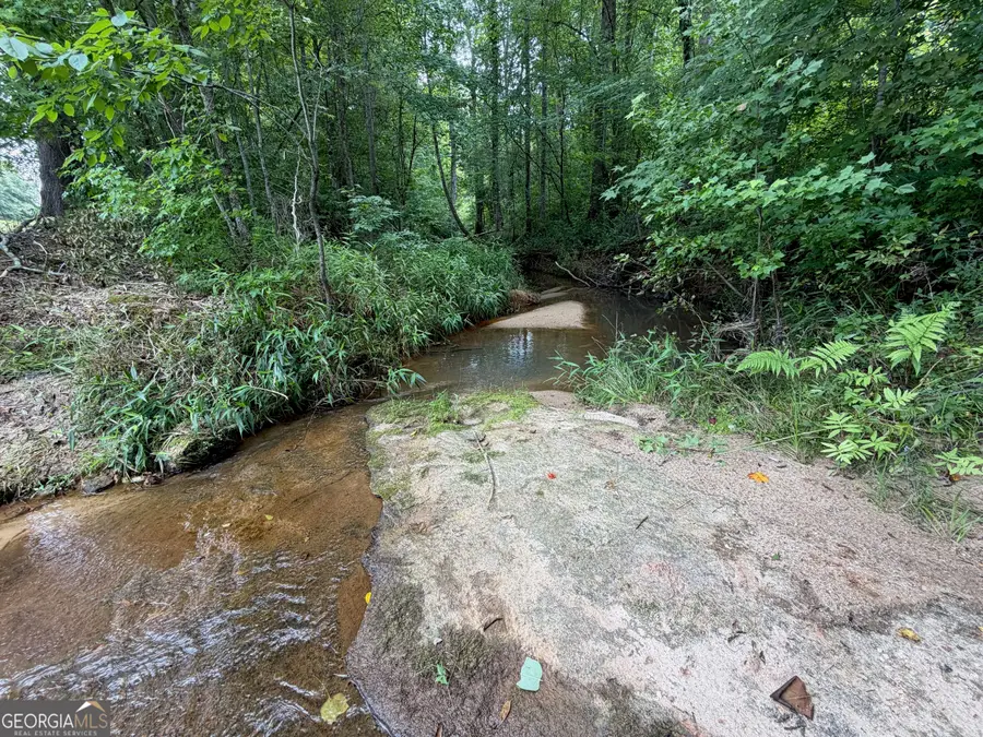 47 ACRES Cochran Road, Madison, GA 30650 - #2