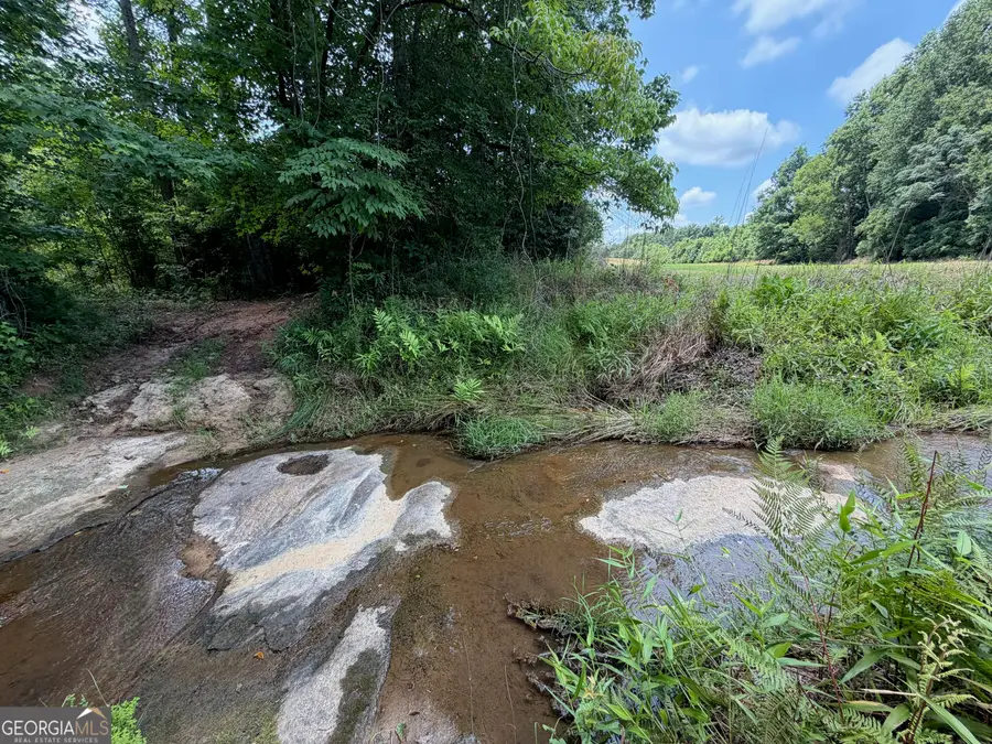 47 ACRES Cochran Road, Madison, GA 30650 - #3