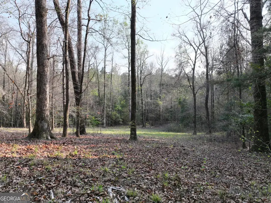 195 County Line Road, Lumpkin, GA 31815 - #2
