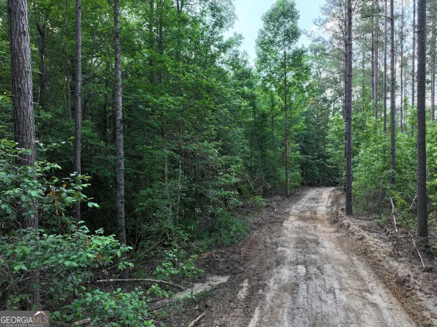 195 County Line Road, Lumpkin, GA 31815 - #3