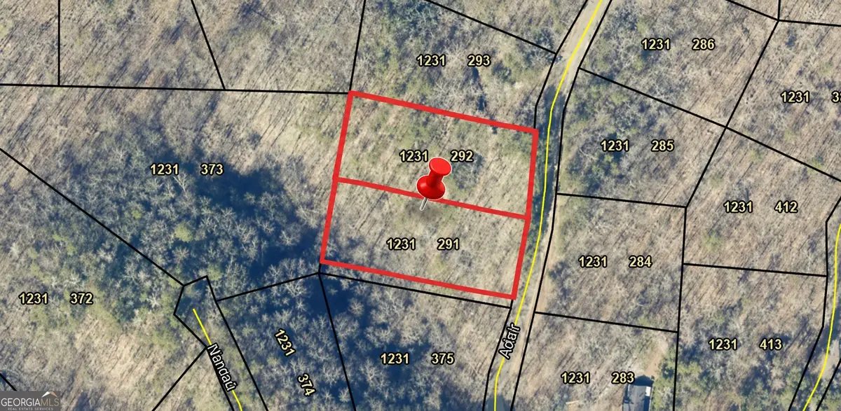 291 & 292 Adair Drive, Ranger, GA 30734 - #1