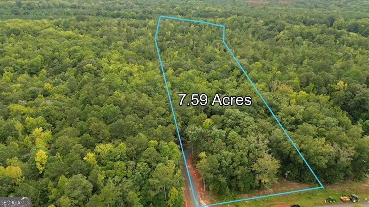0 Roosevelt Hwy - Lot 2, Warm Springs, GA 31830 - #1