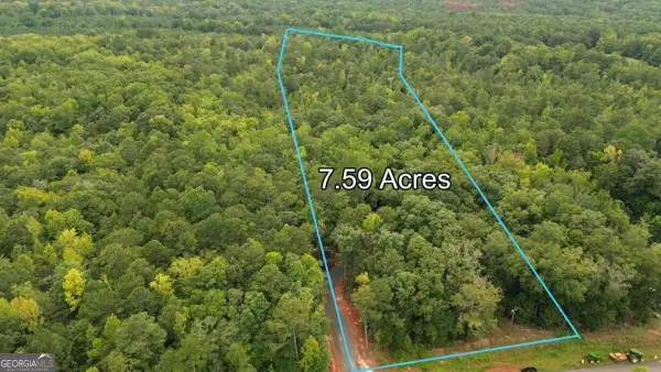 0 Roosevelt Hwy - Lot 2, Warm Springs, GA 31830