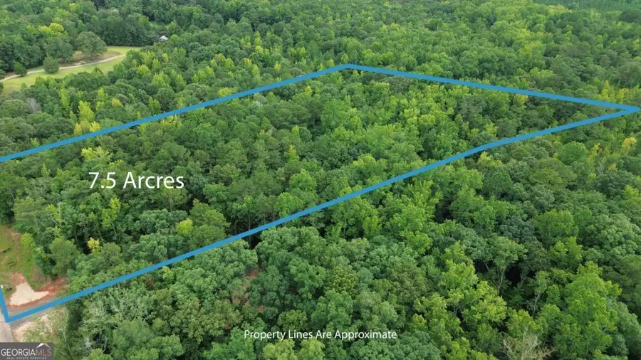 0 Roosevelt Hwy - Lot 1, Warm Springs, GA 31830 - #2