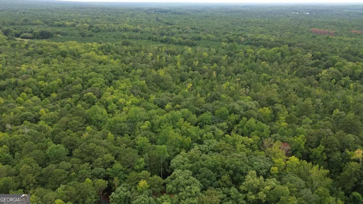 0 Roosevelt Hwy - 20.58 Acres, Warm Springs, GA 31830 - #1