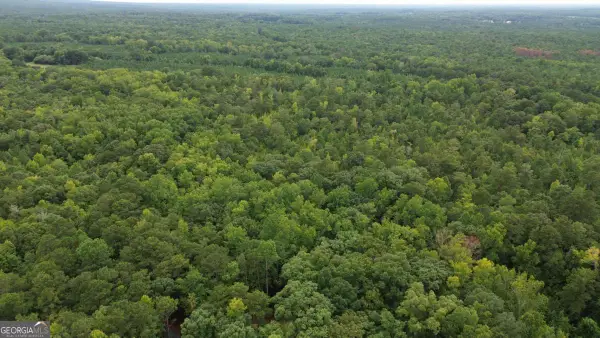 0 Roosevelt Hwy - 20.58 Acres, Warm Springs, GA 31830