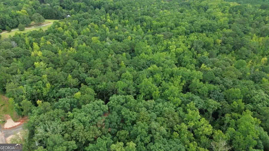 0 Roosevelt Hwy - 20.58 Acres, Warm Springs, GA 31830 - #3