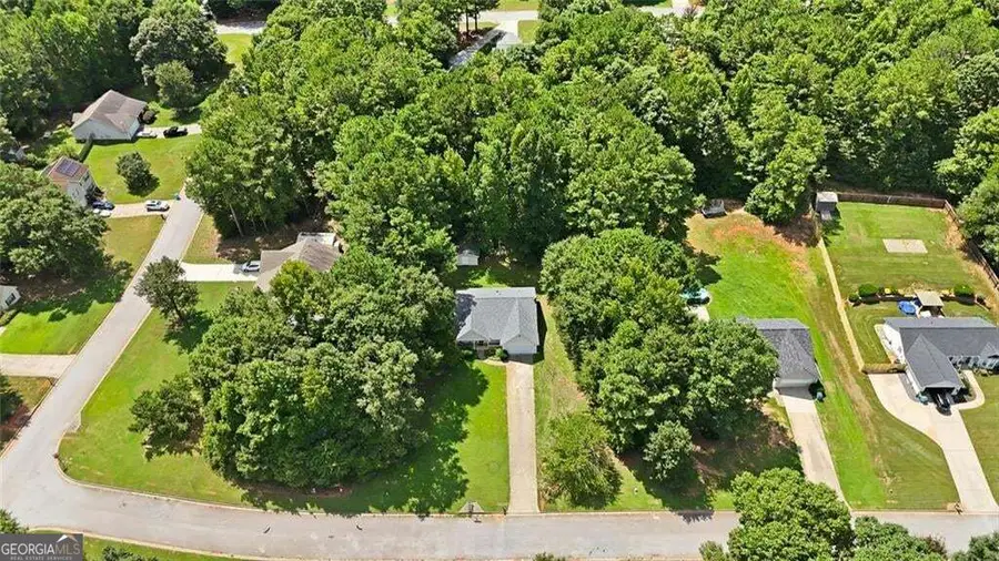 315 Wild Turkey Lane, Locust Grove, GA 30248 - #3