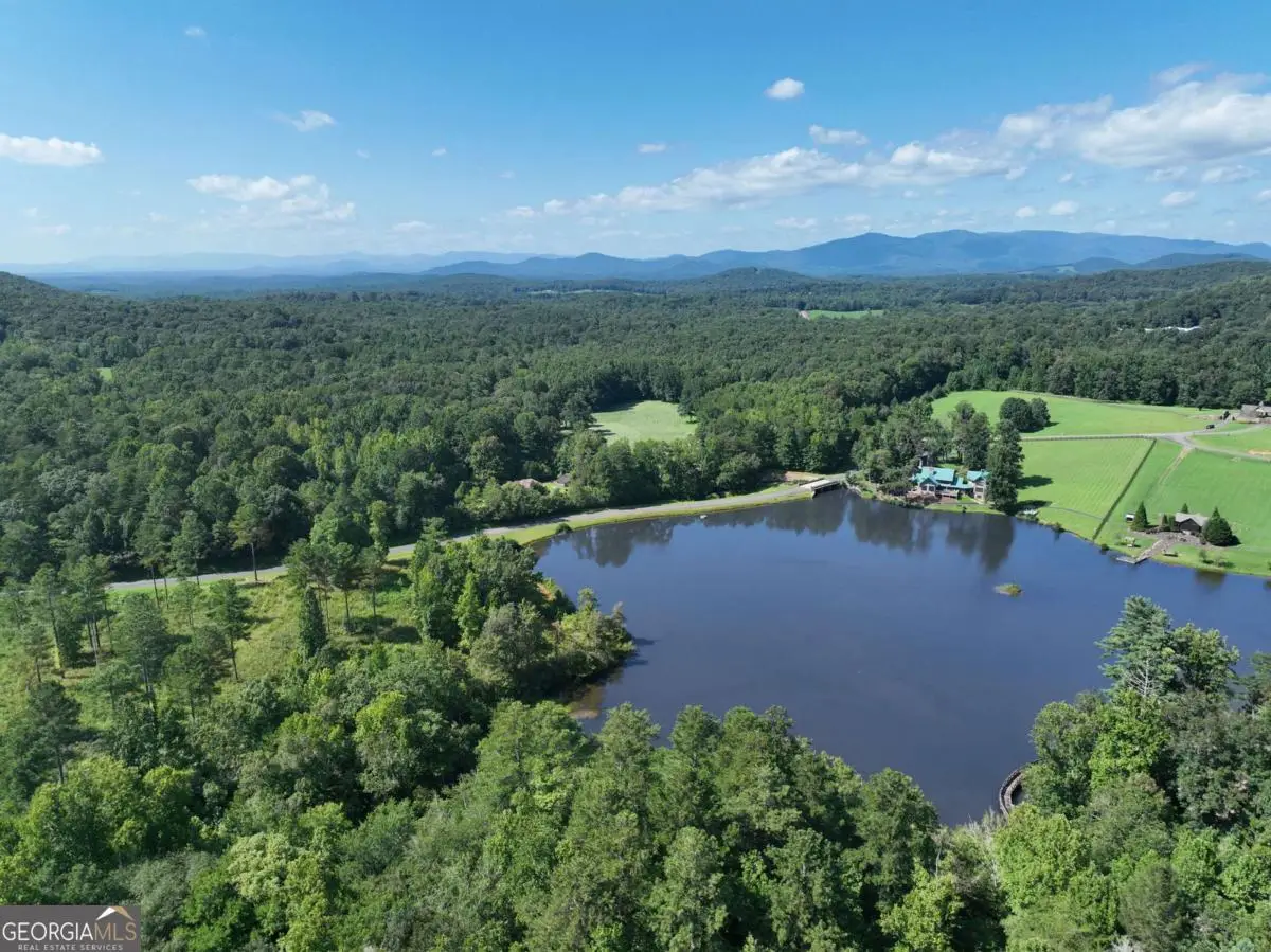142R Autumn Fern Lane, Ellijay, GA 30536 - #1