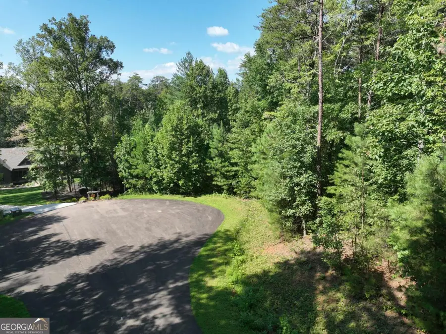 142R Autumn Fern Lane, Ellijay, GA 30536 - #2