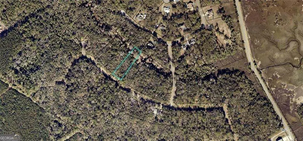 68 Tar Flower Trail, Waverly, GA 31565 - #1