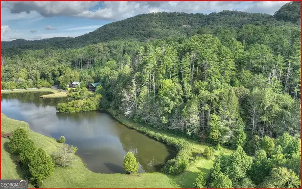 0 Walker Ridge Way, Mineral Bluff, GA 30559
