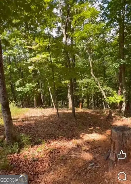 0 Rusty G Place, Dawsonville, GA 30534 - #3