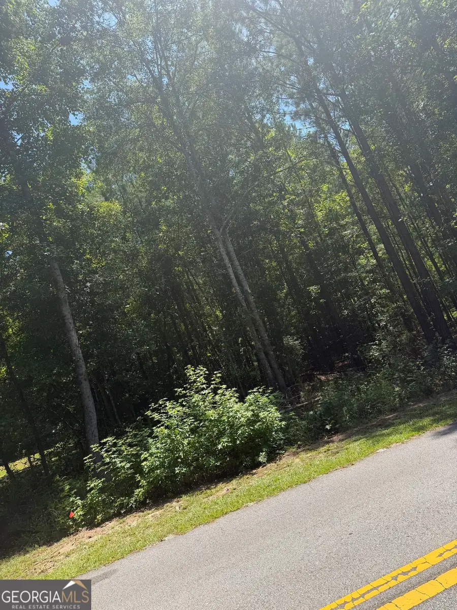 0 Opal Street, Luthersville, GA 30251 - #2