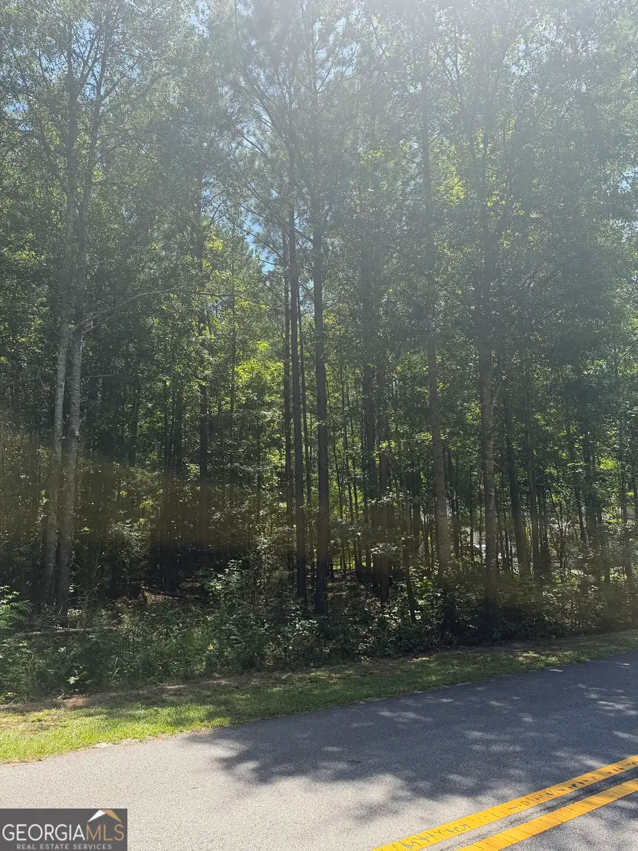 0 Opal Street, Luthersville, GA 30251 - #3