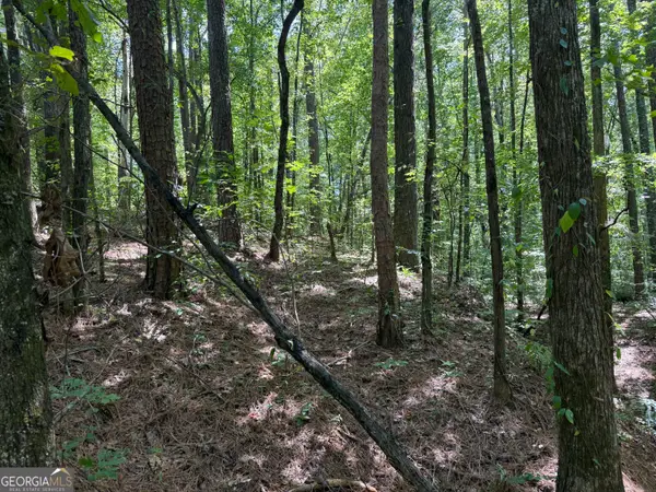 0 Center Point Road, Carrollton, GA 30117