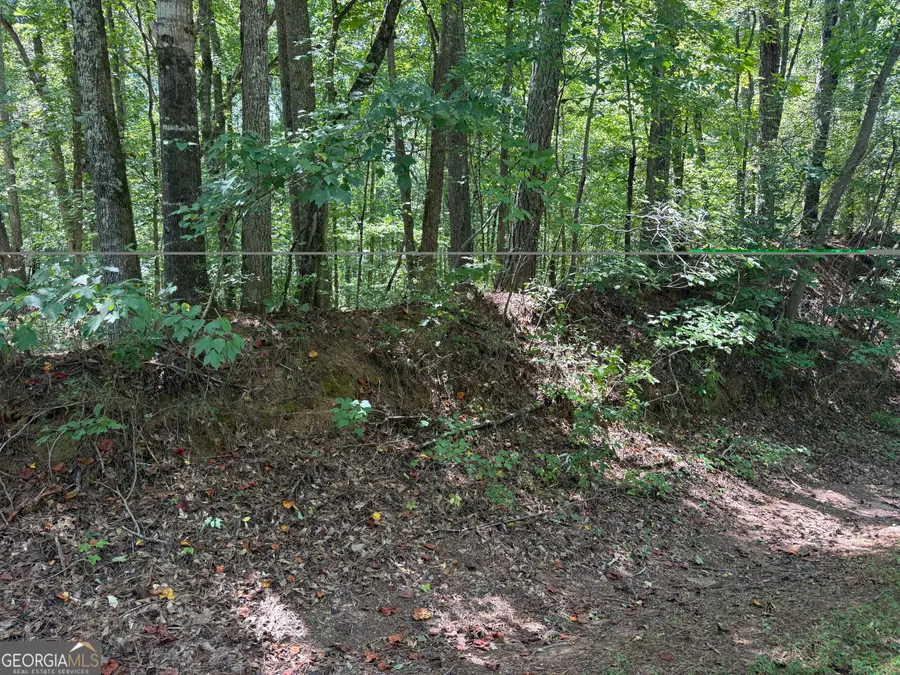 0 Center Point Road, Carrollton, GA 30117 - #3