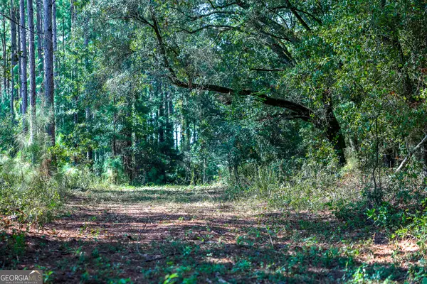 0 Pullen Road, Damascus, GA 39841