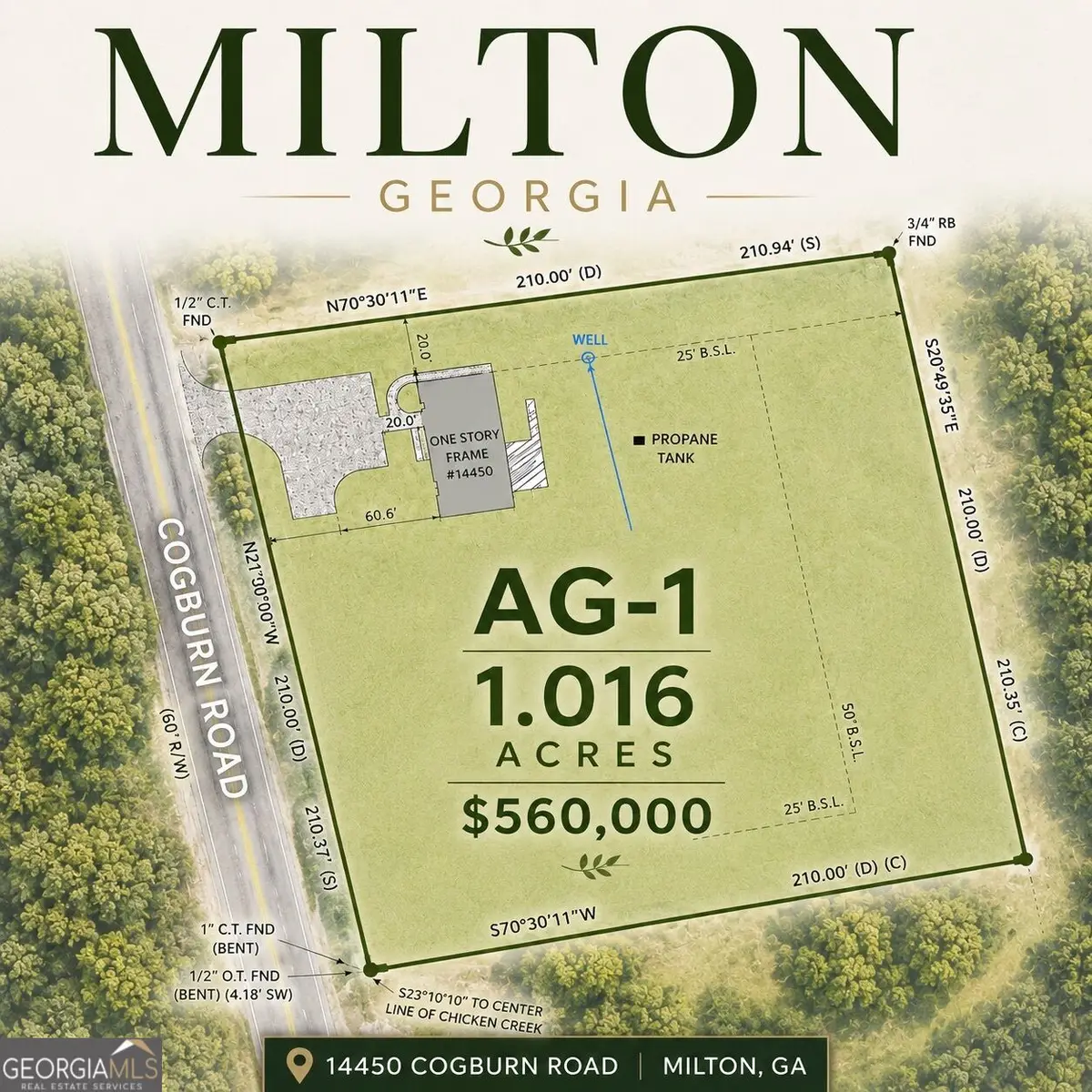 14450 Cogburn Road, Milton, GA 30004 - #1