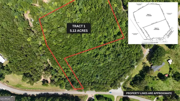 TRACT 1 Tesnatee Gap Valley Rd, Cleveland, GA 30528