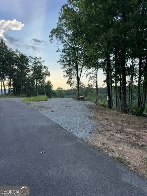 290 Eagle View Drive #LOT 20, Ellijay, GA 30540 - #3
