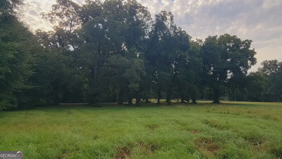 0 Bankston Road, Meansville, GA 30256 - #2