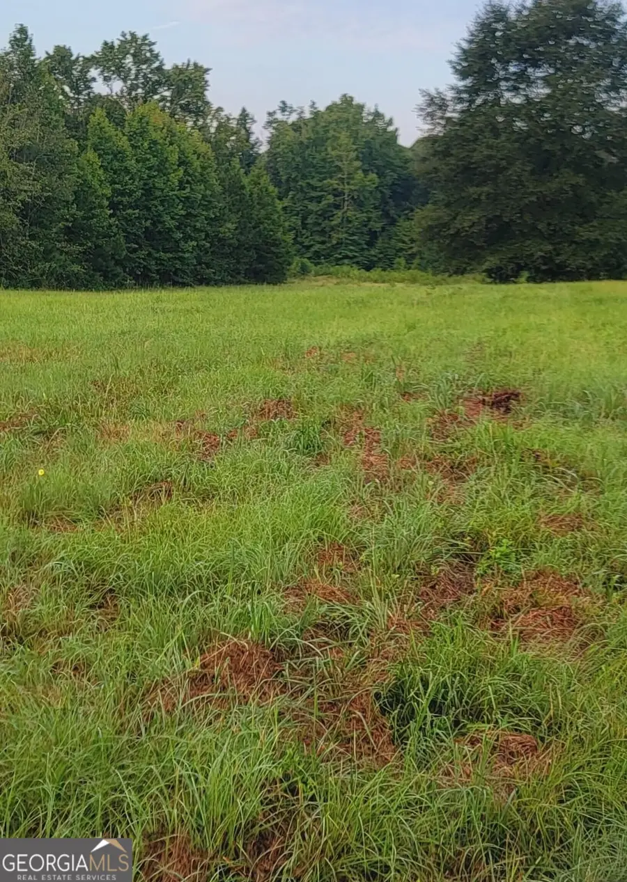 0 Bankston Road, Meansville, GA 30256 - #3